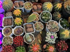 -三旗百汇商品城