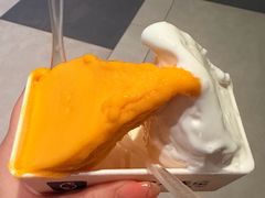 -野人先生Gelato(上海长宁龙之梦店)