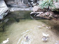 -黑龙潭风景区