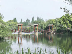 -尚湖风景区