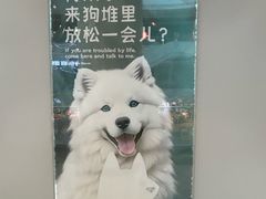 -红宝石·鲜奶小方·海派西点房(四平店)