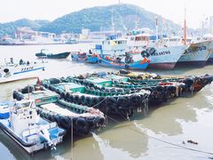 -沈家门渔港