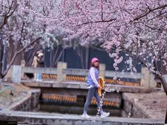 -春风习习