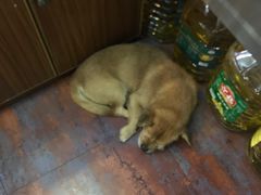 -德泓面馆(颐高店)
