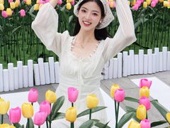 -龙湖成都上城天街