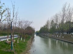 -梅林春晓花园餐厅
