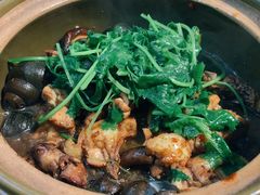 -食爺炭炉鸡煲·烧烤