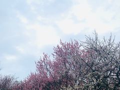 -无锡梅园公园