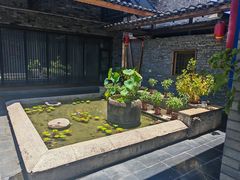 -老凯俚酸汤鱼(多彩城店)