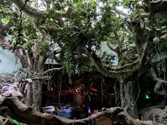 -多彩贵州城极地海洋世界