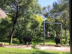 -北京野生动物园