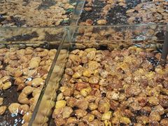 -凯德广场(西城店)