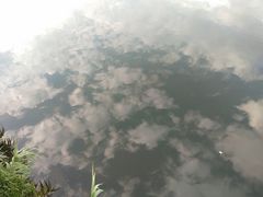 -重庆彩云湖湿地公园