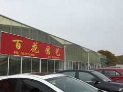 -龙大花卉苗木市场