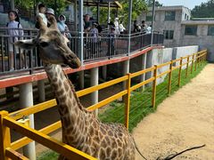 -西霞口神雕山野生动物世界