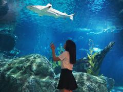 -暹罗海洋世界