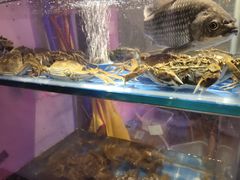 -二钳洞庭虾蟹·江湖菜(成都鹭岛店)