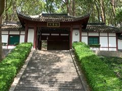 -上海佘山国家森林公园天马山园