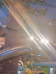 -卡通尼·Safari非洲探索乐园·生日会(金桥国际商业广场店)