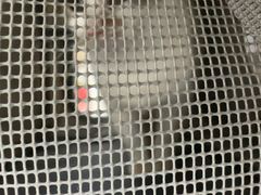 -瑞鹏宠物医院·内科·中兽医·骨科(苗圃店)