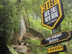 -碧峰峡风景区
