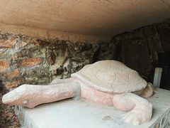 -上海佘山国家森林公园天马山园