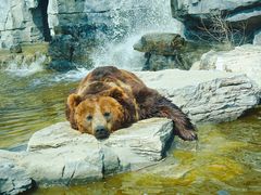 -北京野生动物园