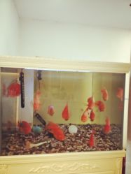 -龙泽日盛医疗美容