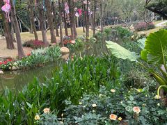 -人民公园(罗湖区)