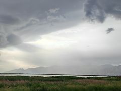 -哈素海