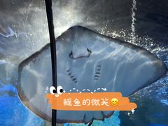 -重庆欢乐海底世界
