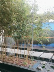 -爱儿美儿童摄影(朝阳公园店)