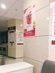 -复旦大学附属妇产科医院(杨浦院区)