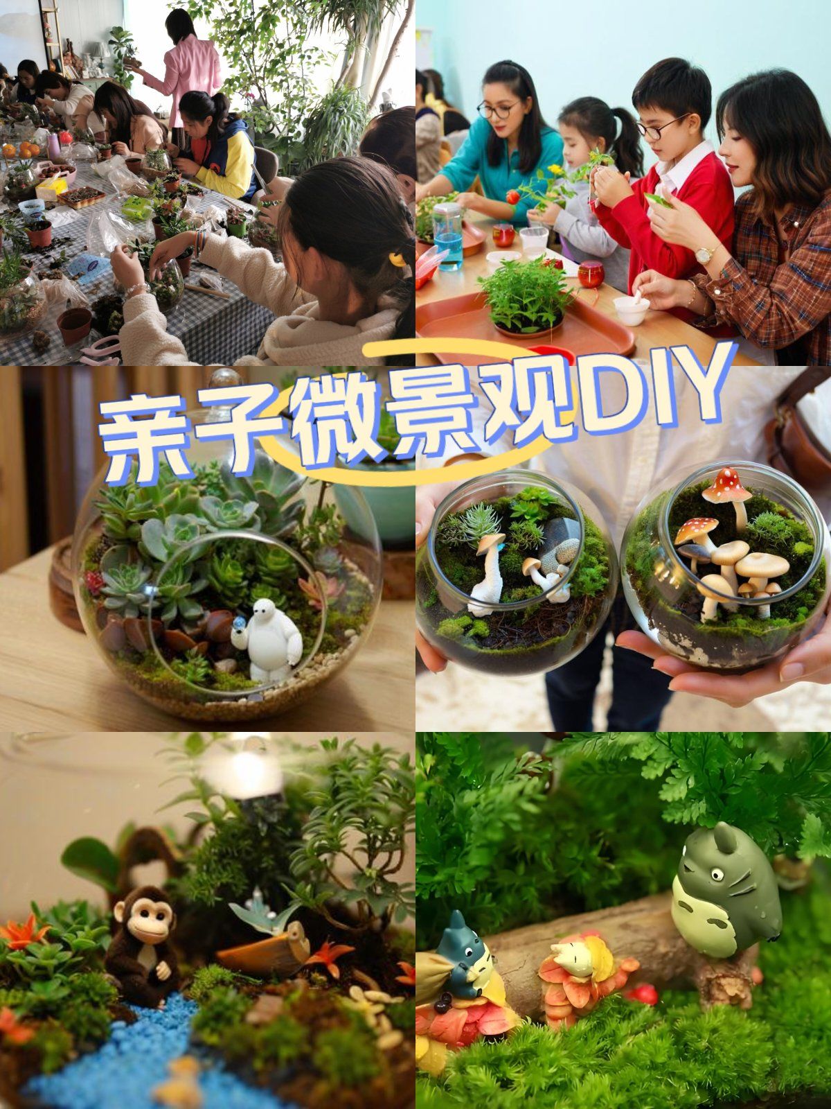 亲子微景观diy