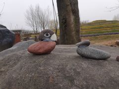 -南通洲际绿博园