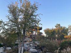 -武清南湖绿博园