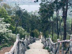 -青龙山国家森林公园