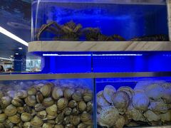 水产区-青石桥市场北1-27号