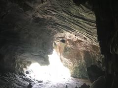 -海南霸王岭国家森林公园