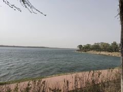 -丁香湖公园