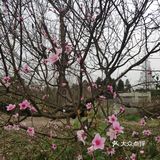 草长莺飞好时光