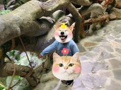 -多彩贵州城极地海洋世界