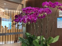 -白云机场易登机休息室