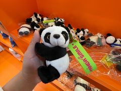 -熊猫邮局(少城店)