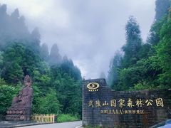 -武陵山森林公园