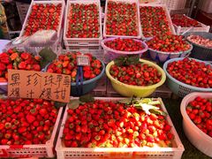 -南坛综合农贸市场