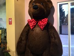 -济州岛泰迪熊博物馆