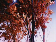 -中国湿地博物馆