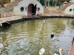 -南宫五洲植物乐园