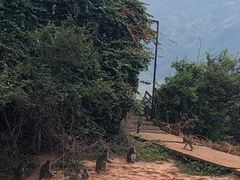 -广州市流溪河国家森林公园